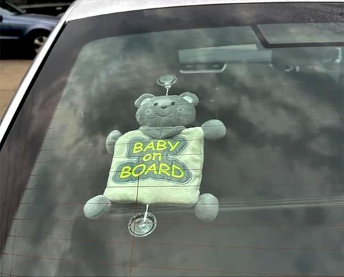 купить Аксессуар для автомобиля BabyJem 875 Jucarie de plus Baby On Board Gri в Кишинёве 