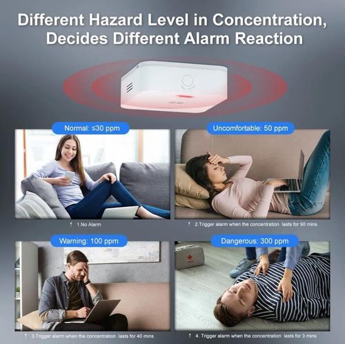 купить Датчик дыма и газа Moes ZSS-HM-CO-A-MS в Кишинёве 