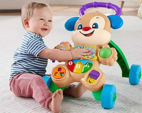 купить Ходунок Fisher Price GXR70 Puppy в Кишинёве 