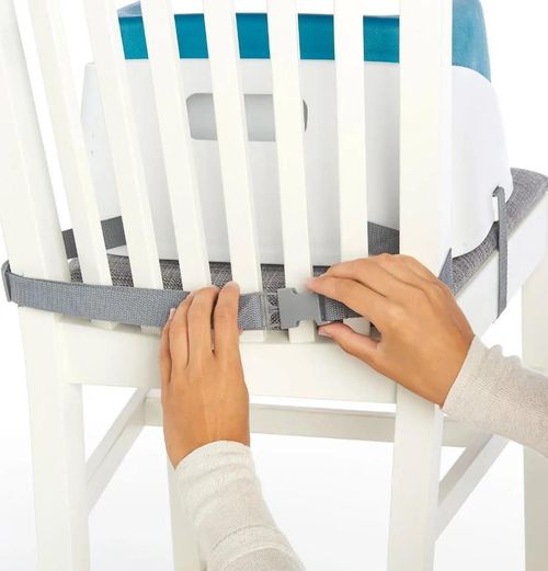 cumpără Scaun de masă Bright Starts 11786 Booster Ingenuity Toddler SmartClean Peacock Blue în Chișinău 