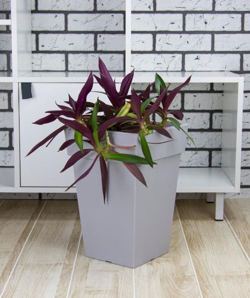 купить Цветочный горшок Idea М3179 ghiveci p/ flori в Кишинёве 