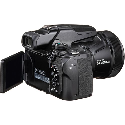 cumpără Aparat foto compact Nikon Coolpix P1100 Black în Chișinău 