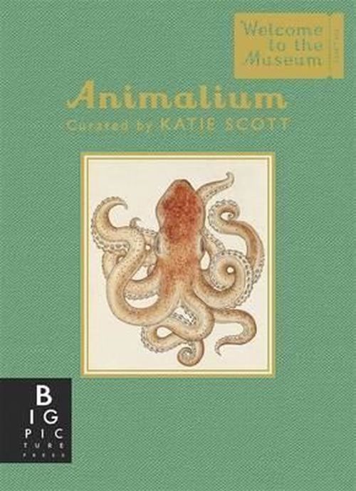 cumpără Animalium - Mini Gift Edition (în limba engleză) în Chișinău 