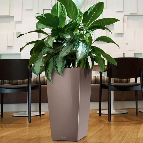 купить Цветочный горшок Lechuza Cubico Premium 40, Taupe в Кишинёве 