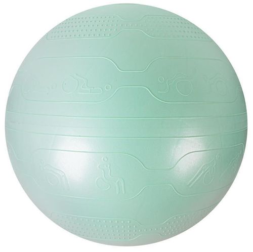 купить Мяч inSPORTline IN29179-2 Minge gimnastica d=65 cm MINT +pompa в Кишинёве 