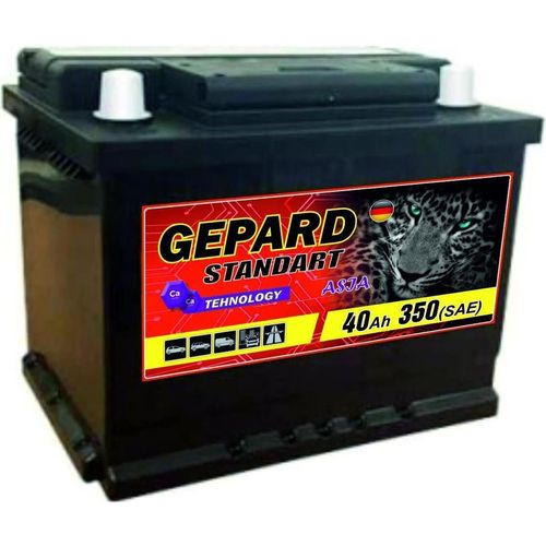 купить Автомобильный аккумулятор Gepard Standart 40 AH Japan 350A (196x136x225) в Кишинёве 