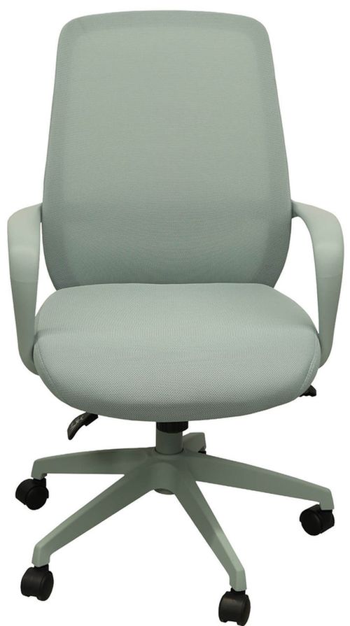 cumpără Fotoliu de birou Deco Grant Mint în Chișinău 