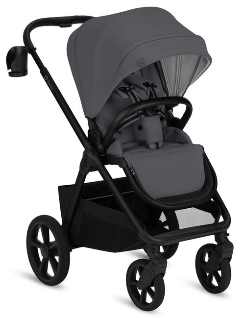 купить Детская коляска Lionelo Carucior 2in1 Carmine Grey Stone в Кишинёве 