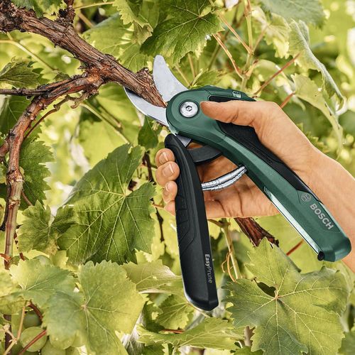 купить Ножницы садовые Bosch EasyPrune 06008B2100 в Кишинёве 