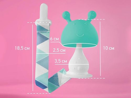 cumpără Iinel dentiție Roxy Kids RST-001-B Грибочек с держателем, в футляре, мятный în Chișinău 
