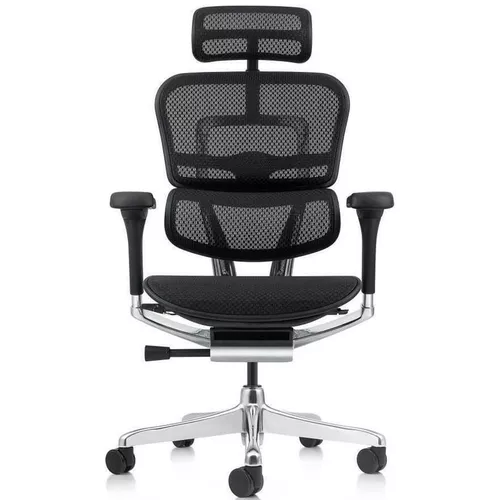 cumpără Fotoliu de birou ART Ergohuman Elite 2 Black T-168-B1 EHE2-AB-HAM-5D-L în Chișinău 