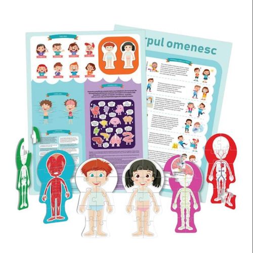 купить Головоломка Noriel NOR5434 Puzzle Corpul omenesc, 60 elem. (ro) в Кишинёве 