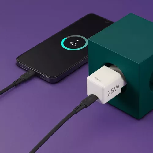 купить Зарядное устройство сетевое Hama 201981 Super Mini-charger, USB-C, 25W в Кишинёве 