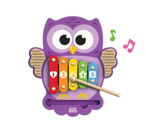 cumpără Jucărie muzicală Kids Hits KH20/019 Деревянный ксилофон owl în Chișinău 