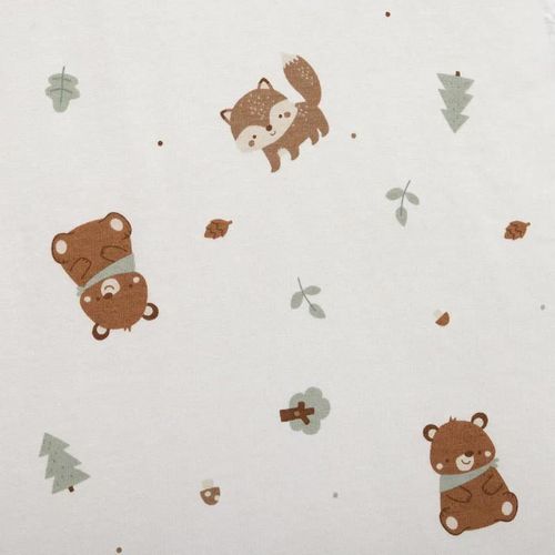 cumpără Haine pentru copii Premaman PCIEZ4-ECR-T02 Sac de dormit fara maneci Regele Padurii, mărimea 2 în Chișinău 