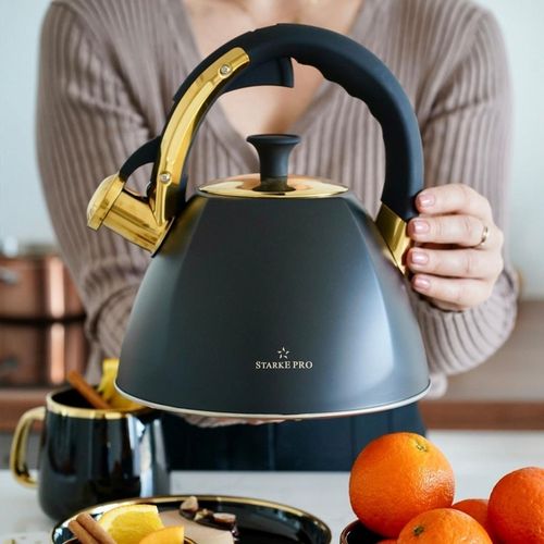 купить Чайник Starke Pro Grava Black 2,5L в Кишинёве 