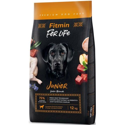 купить Корм для питомцев Fitmin Dog For Life jun. large br. 12kg в Кишинёве 