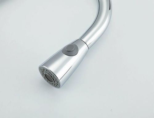 купить Смеситель кухонный Frap F 60991 (chiuveta plus extensibil) Alama CROM в Кишинёве 