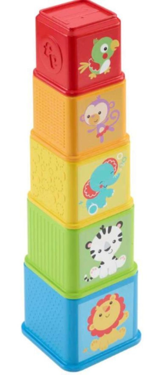 купить Игрушка Fisher Price CDC52 Piramida Cuburi cu animale в Кишинёве 