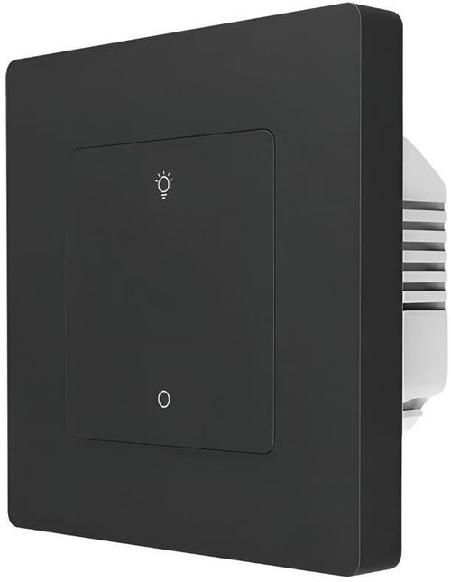 купить Выключатель электрический Moes ZS-SR-EUD1-GY-MS в Кишинёве 
