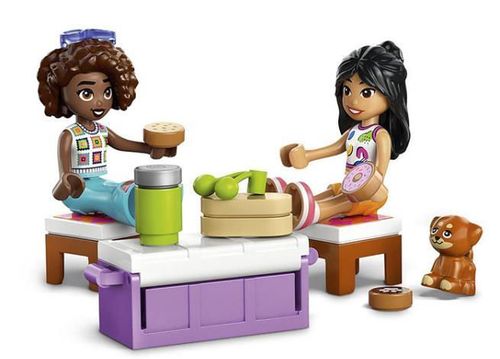 купить Конструктор Lego 42659 Friends Masina pentru calatorii в Кишинёве 