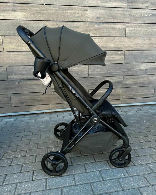 купить Детская коляска Espiro Just 104 green avocado в Кишинёве 