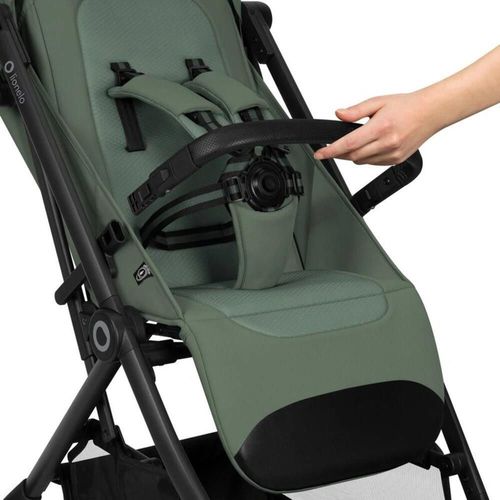 купить Детская коляска Lionelo Tansi Green Emerald в Кишинёве 