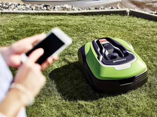 купить Газонокосилка Greenworks GRL110 Optimow в Кишинёве 