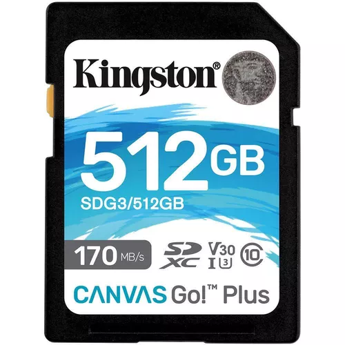 купить Флеш карта памяти SD Kingston SDG3/512GB в Кишинёве 
