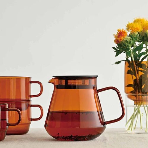 cumpără Infuzor ceai Hario HCT-600-AB Colors Tea & Coffee Server în Chișinău 