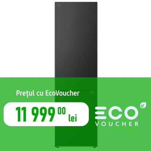 cumpără Frigider cu congelator jos LG GBV7280BEV în Chișinău 