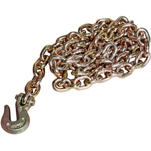 cumpără Palan mecanic JTC JTC-8P107 Цепь с захватным крючком 3/8"х270см în Chișinău 