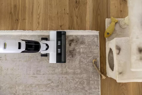 купить Пылесос беспроводной Karcher FCV 2 Natural N (1.056-101.0) в Кишинёве 