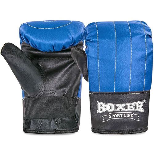 cumpără Articol de box SUHS 12750 Manusi box L 2015 în Chișinău 