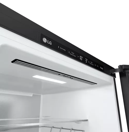 купить Холодильник с нижней морозильной камерой LG GBB72TW9DQ в Кишинёве 