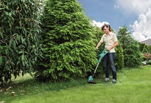 cumpără Trimmere pentru iarba Bosch ART 24 06008A5800 în Chișinău 