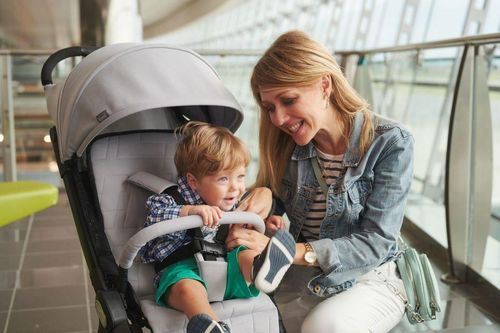 купить Детская коляска Chicco 79885190000 We, Cool Grey, 0+ luni в Кишинёве 