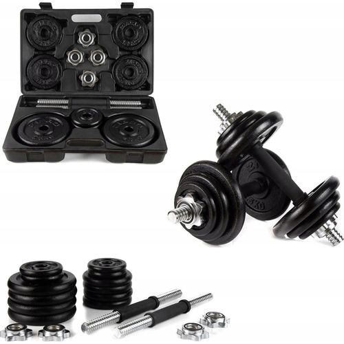 купить Гантель Zipro Iron Dumbbell Set 2x10kg в Кишинёве 