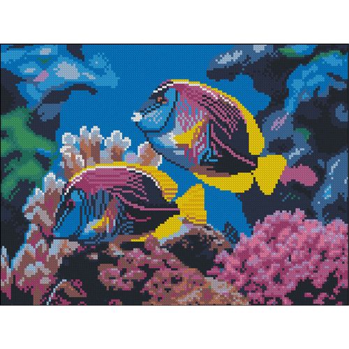 купить Картина по номерам Strateg 58084 Pictura cu diamante 30x40cm, Pesti de corali в Кишинёве 