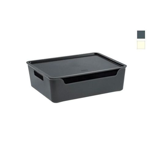 cumpără Cutie depozitare Tontarelli 51814 Коробка с крышкой Bella xxL 36x28x11cm în Chișinău 