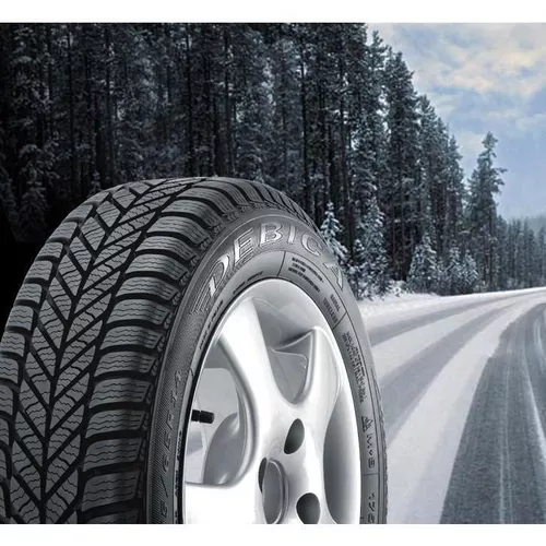 купить Шина Debica 195/65 R 15 Frigo 2 91 T в Кишинёве 