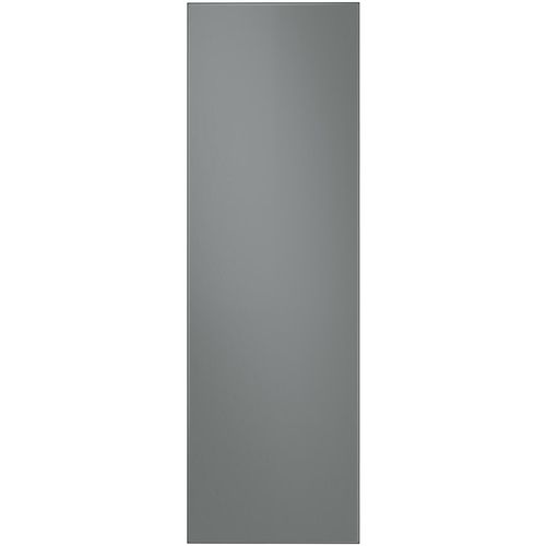 купить Панель дизайнерская для холодильника Samsung RA-R23DAA31GG BeSpoke в Кишинёве 