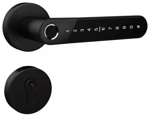 cumpără Lacat inteligent TTLock N33 Black с замком în Chișinău 