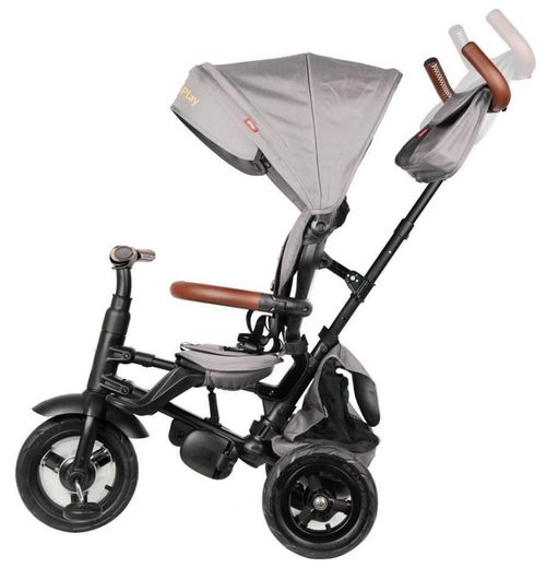 купить Велосипед-коляска Qplay Rito Deluxe Grey в Кишинёве 