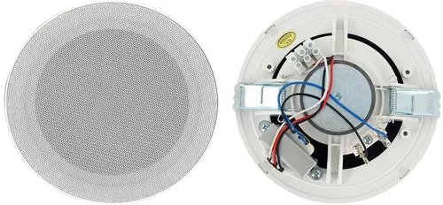 купить Профессиональная колонка FYB FYC-108 Difuzor de tavan 6W/10W в Кишинёве 