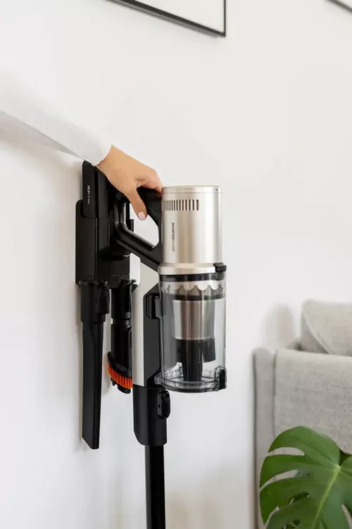 купить Пылесос беспроводной Gorenje SVC259441NFGO в Кишинёве 