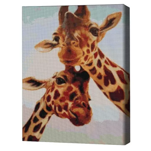 cumpără Tablou pe numere BrushMe DBS1223FC Mozaic cu diamante 40x50сm (fără cutie) Suflete pereche, Lucia Heffernan în Chișinău 