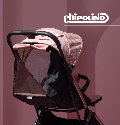 cumpără Сărucior pentru copii Chipolino EASY GO rose water LKEG02305RW în Chișinău 