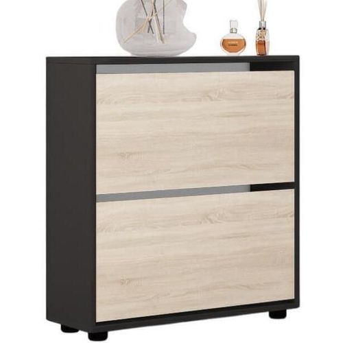 купить Полка для обуви Mobildor-Lux Leo 90x27x86H cm Anthracite/Sonoma в Кишинёве 