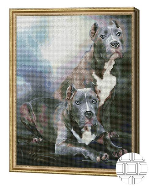 cumpără Tablou pe numere Art Gallery QB203235 Mozaic cu diamante patrate 40x50cm Pitbull american în Chișinău 